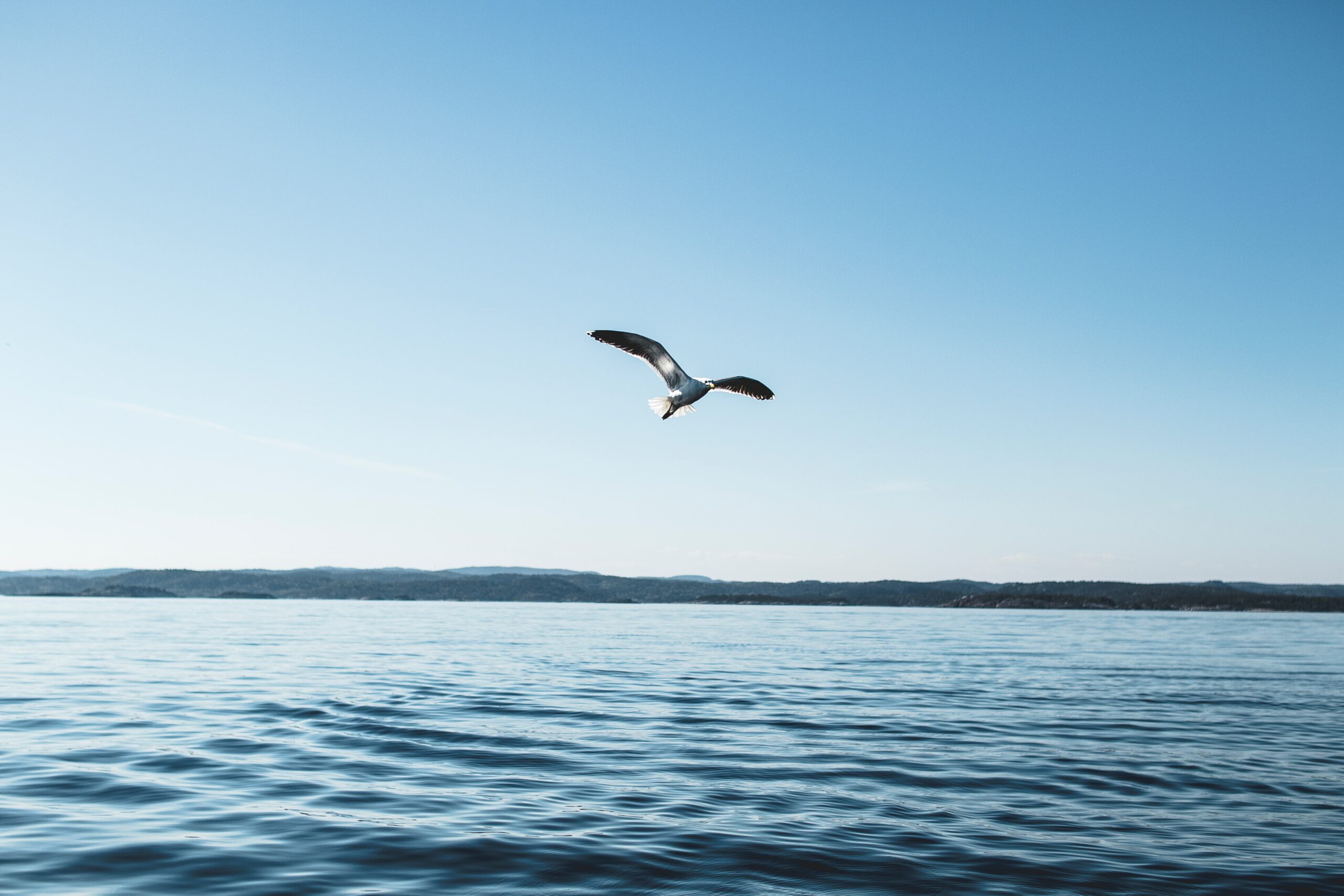 Foto de Sindre Strøm en Pexels